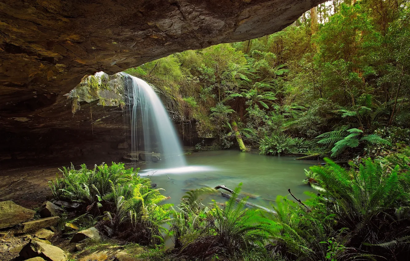 Фото обои скалы, заросли, водопад, Австралия, пещера, папоротник, грот