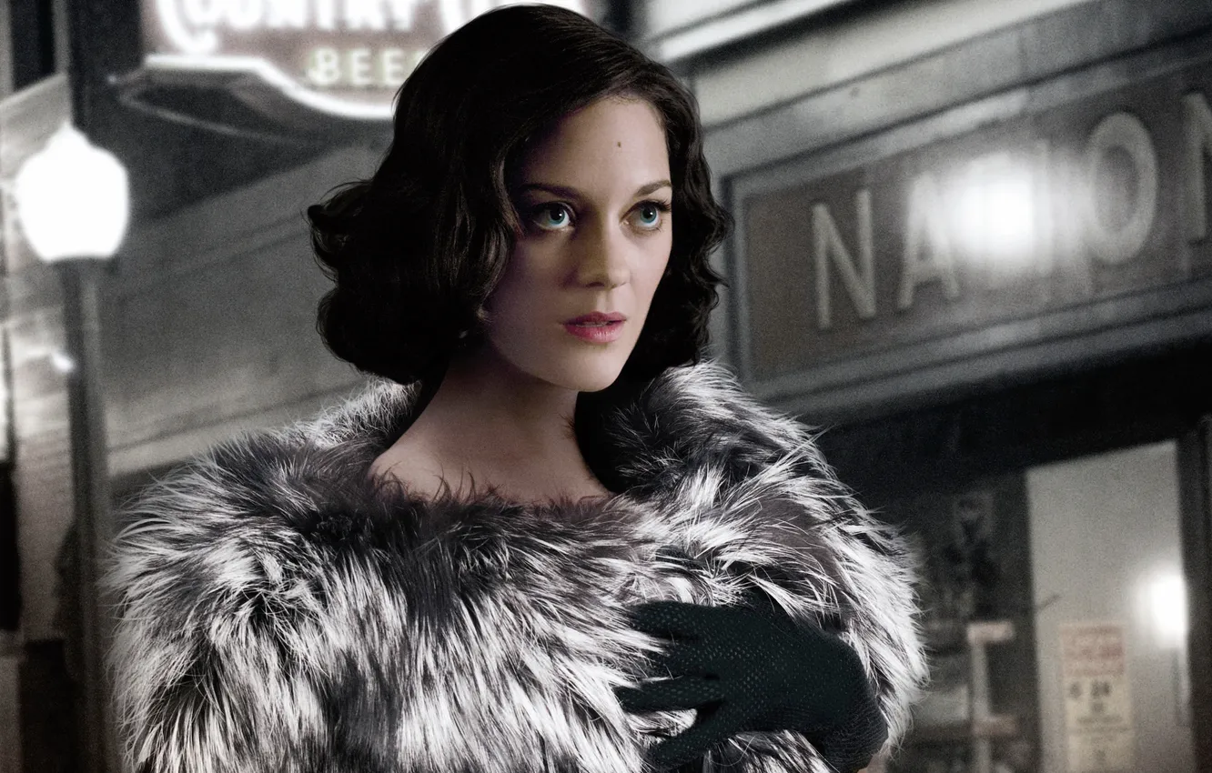 Фото обои Marion Cotillard, America's Most Wanted, Public Enemies