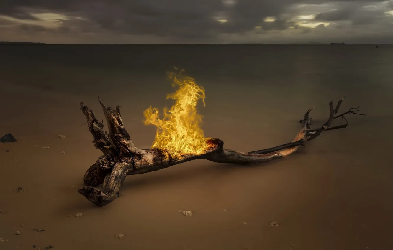 Фото обои море, дерево, огонь, берег