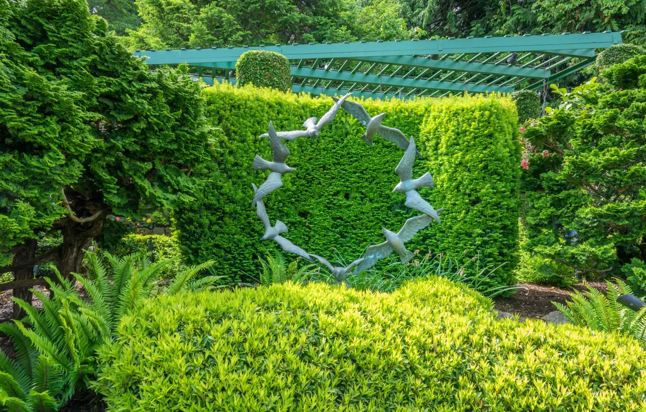 Фото обои зелень, деревья, птицы, дизайн, парк, Канада, Ванкувер, скульптура