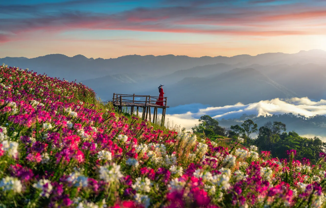 Фото обои девушка, цветы, горы, рассвет, утро, girl, field, landscape