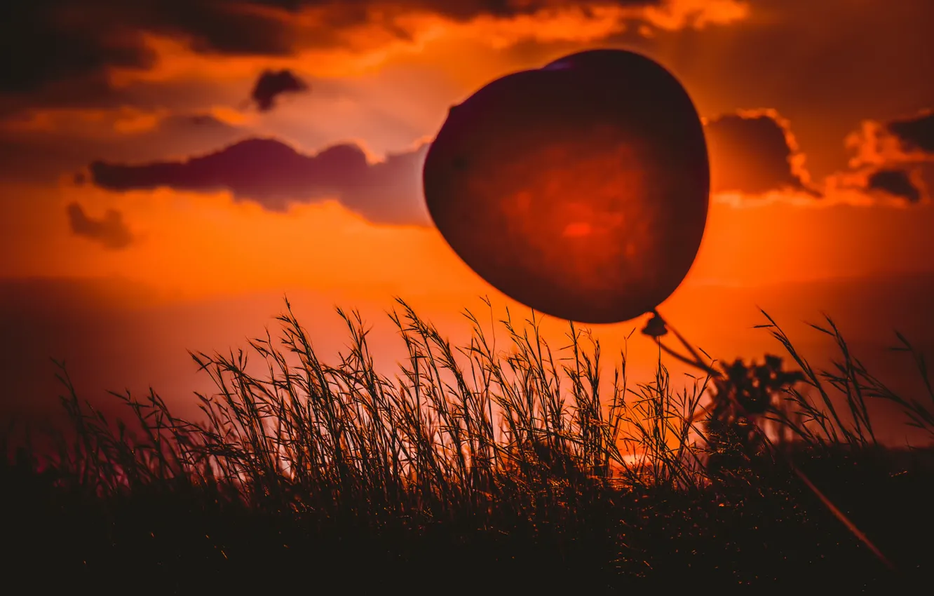 Фото обои трава, закат, сердце, шарик, Heart balloon
