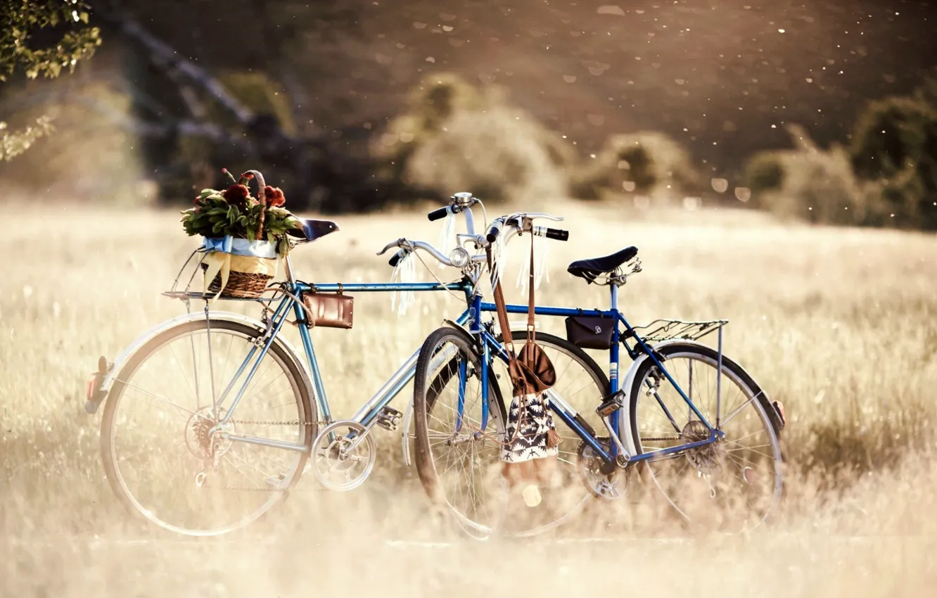 Фото обои зелень, трава, деревья, цветы, природа, велосипед, велик, фон