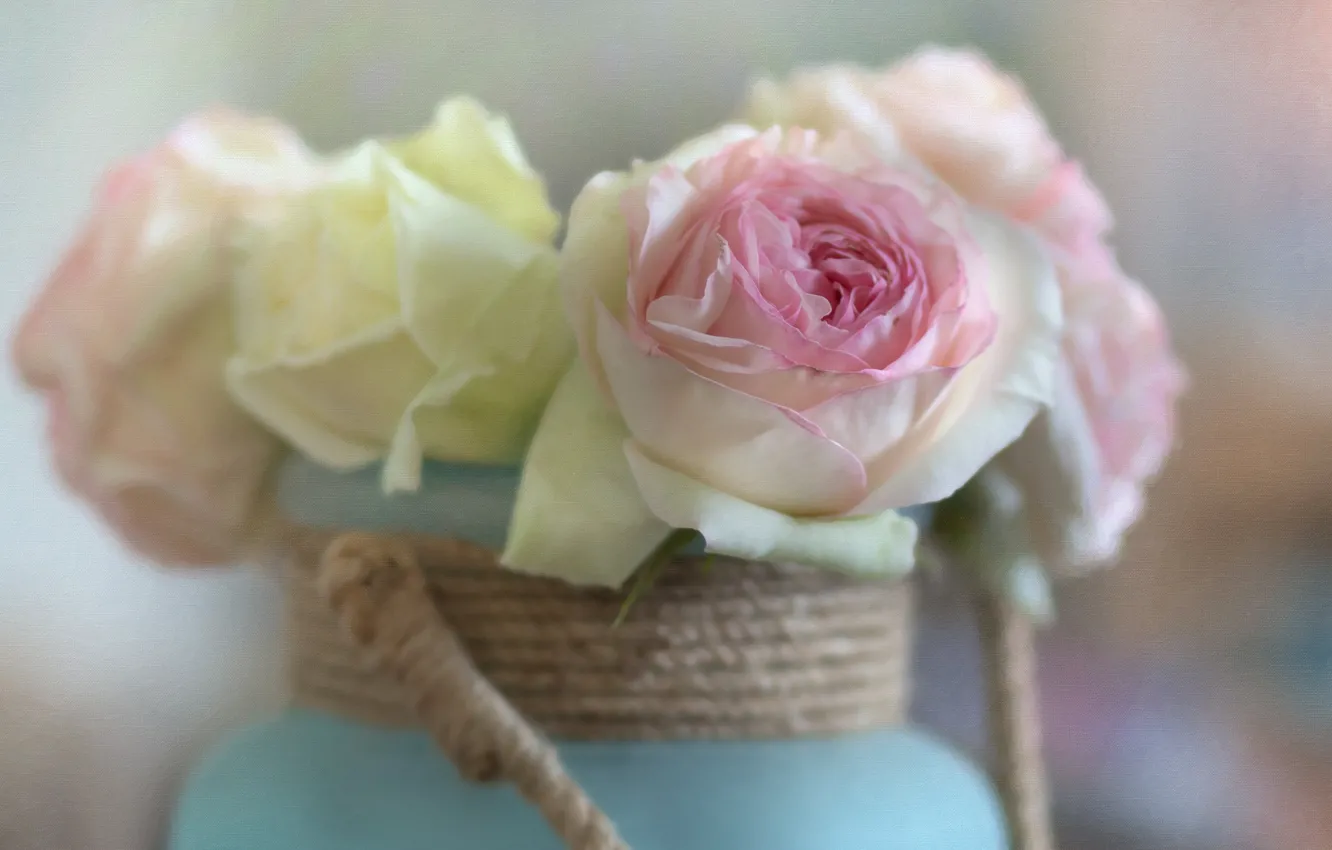 Фото обои розы, текстура, бутоны