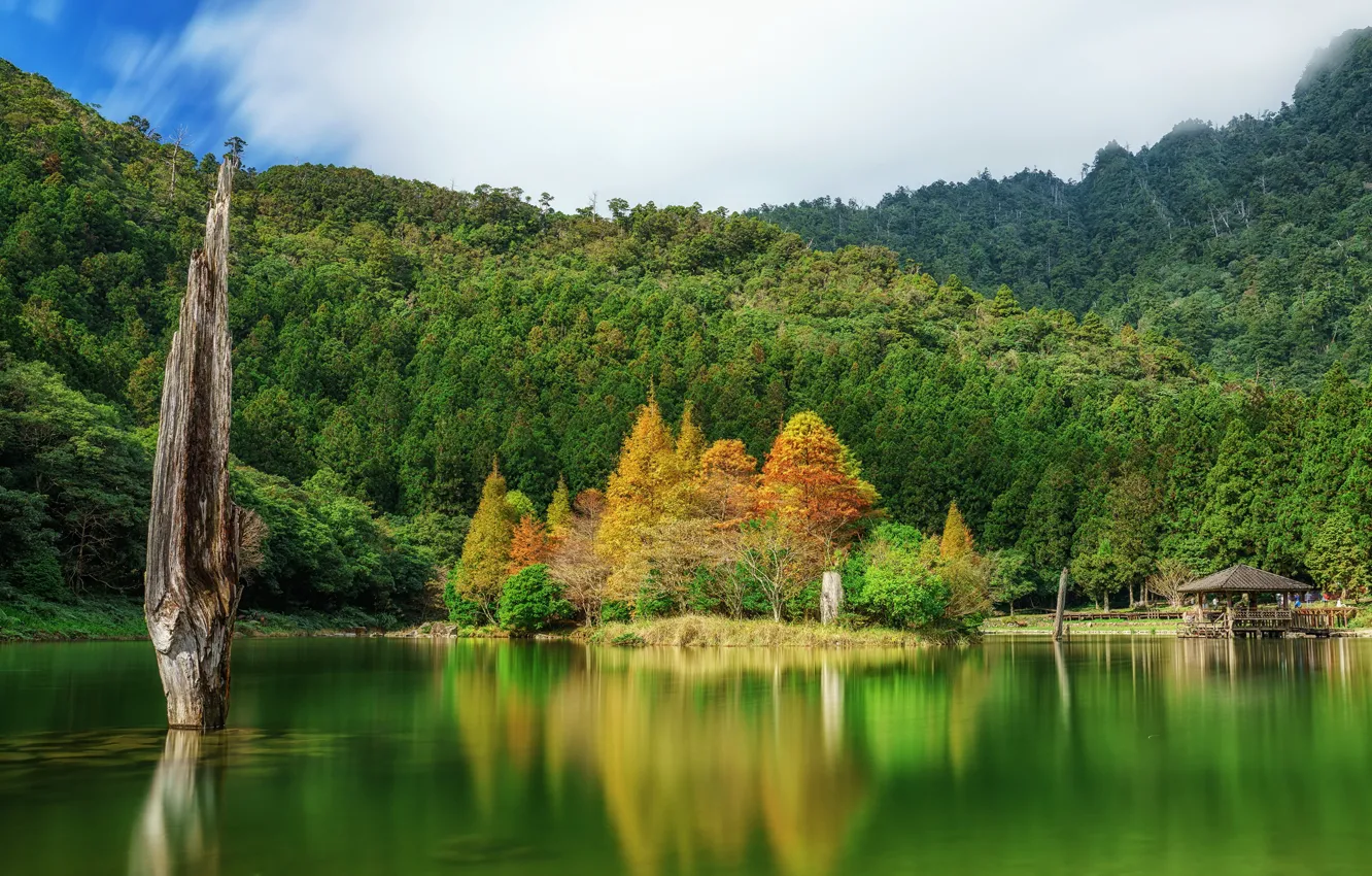 Фото обои осень, лес, природа, озеро, Тайвань, беседка, Mingchi National Forest