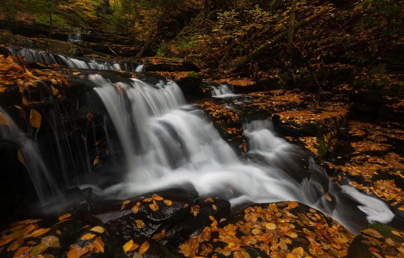 Фото обои осень, листья, камни, листва, водопад, поток, желтые, каскад