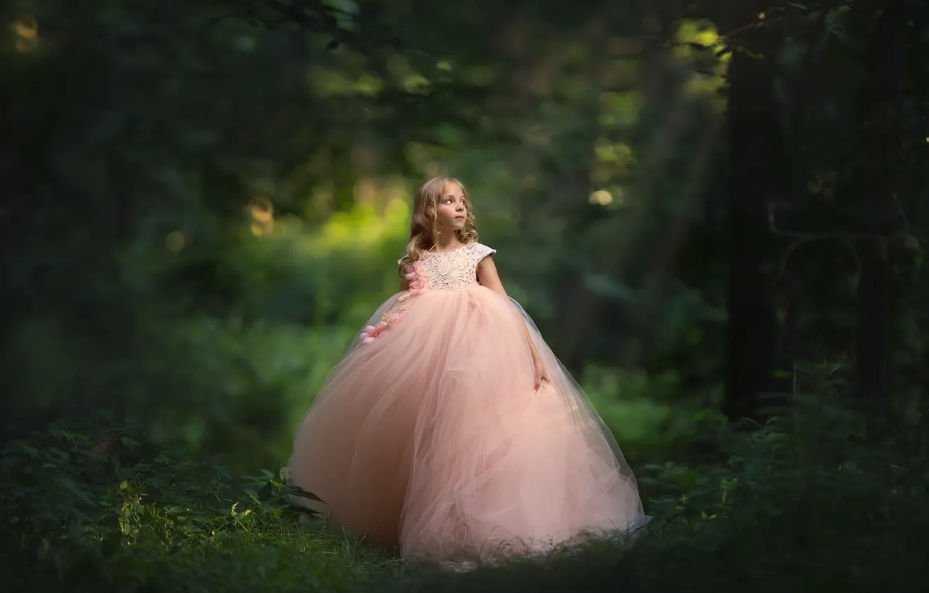 Фото обои лес, платье, девочка, боке