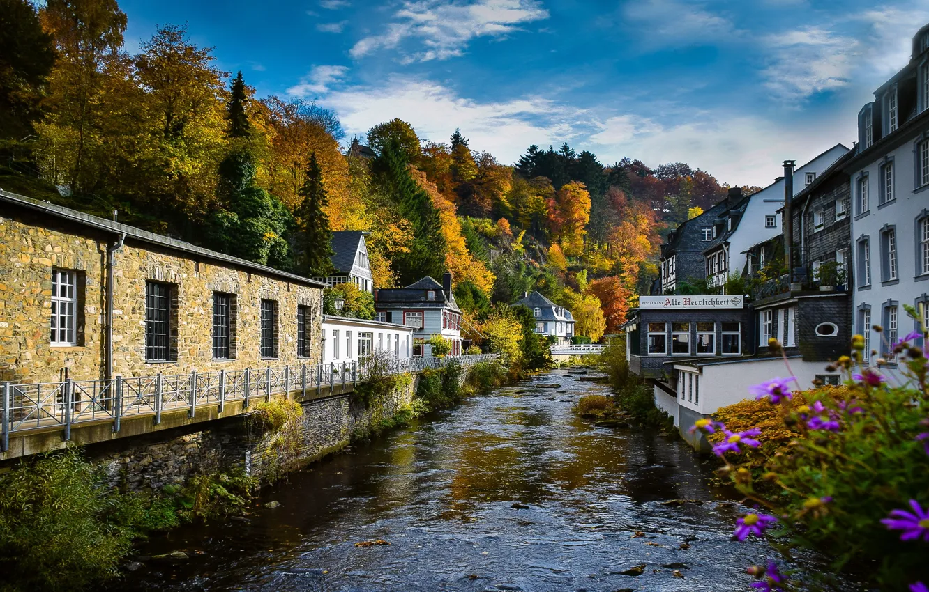 Фото обои осень, деревья, город, река, дома, Германия, Monschau, Моншау