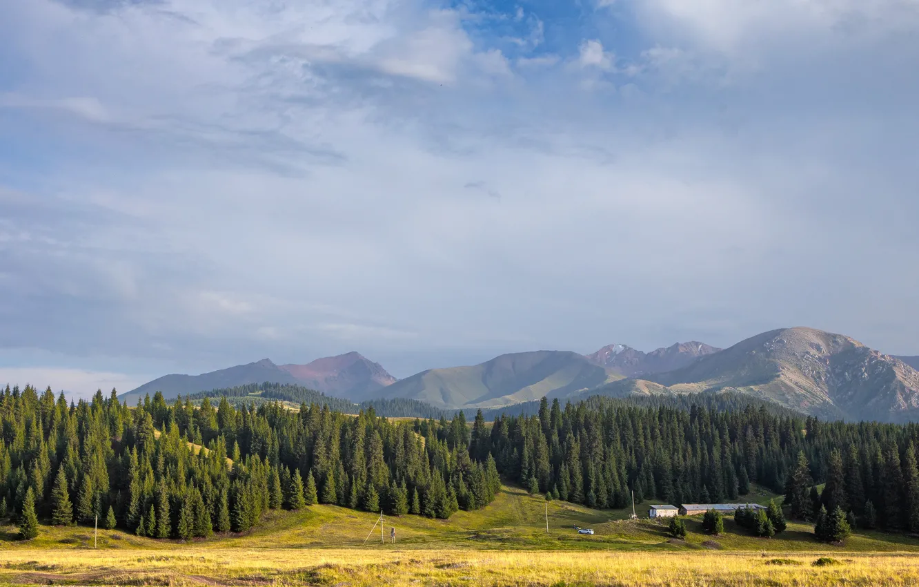 Фото обои поле, лес, небо, облака, горы, холмы, склоны, вид
