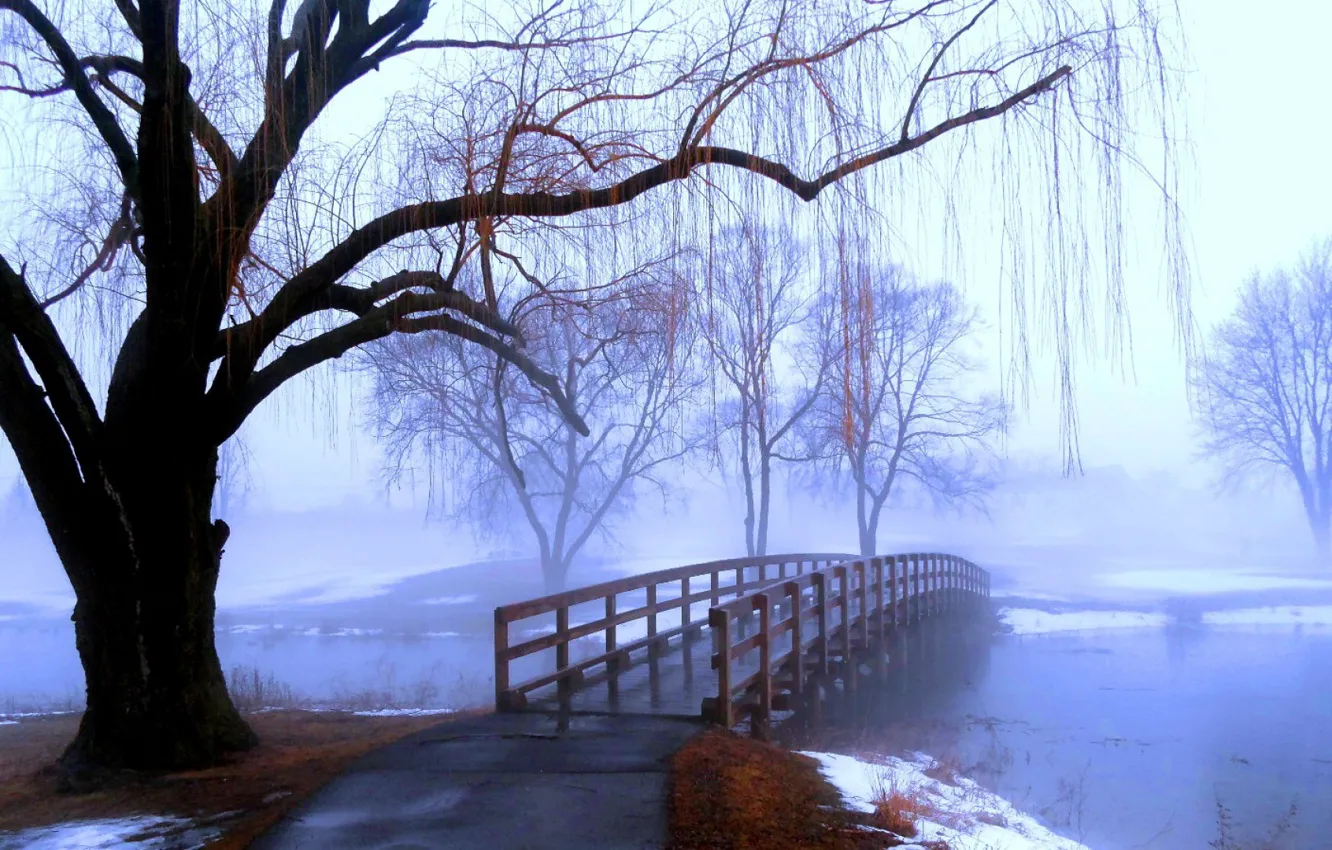 Фото обои осень, мост, туман