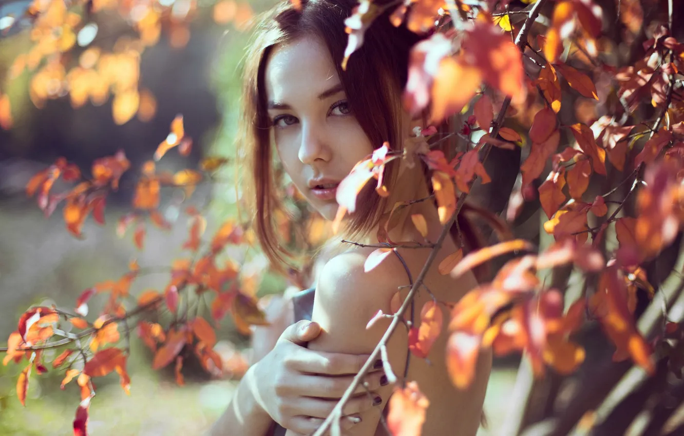 Фото обои осень, листья, портрет, Patricia Bolea