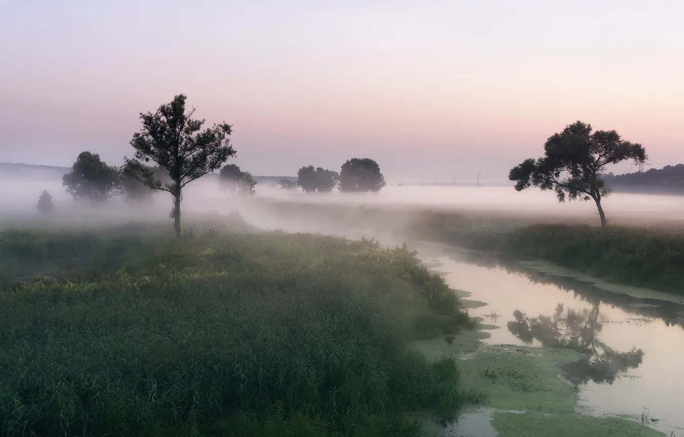 Фото обои пейзаж, природа, туман, река