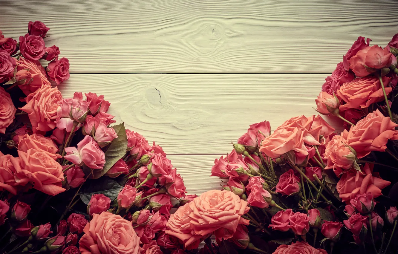 Фото обои цветы, розы, розовые, бутоны, wood, pink, flowers, beautiful
