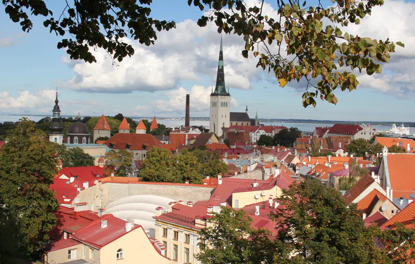Фото обои крыши, Эстония, Таллин