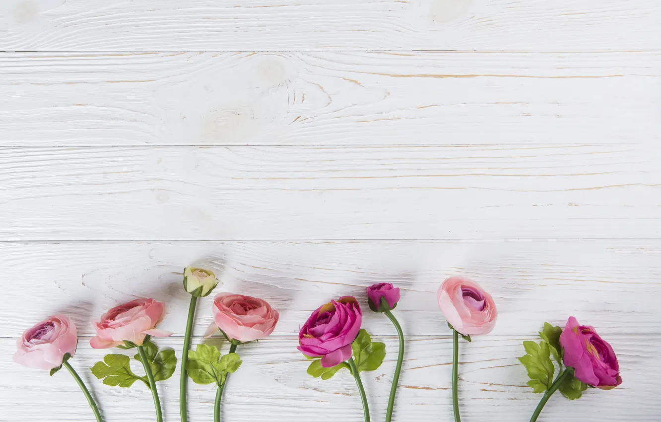 Фото обои цветы, розы, розовые, wood, pink, flowers, beautiful, roses