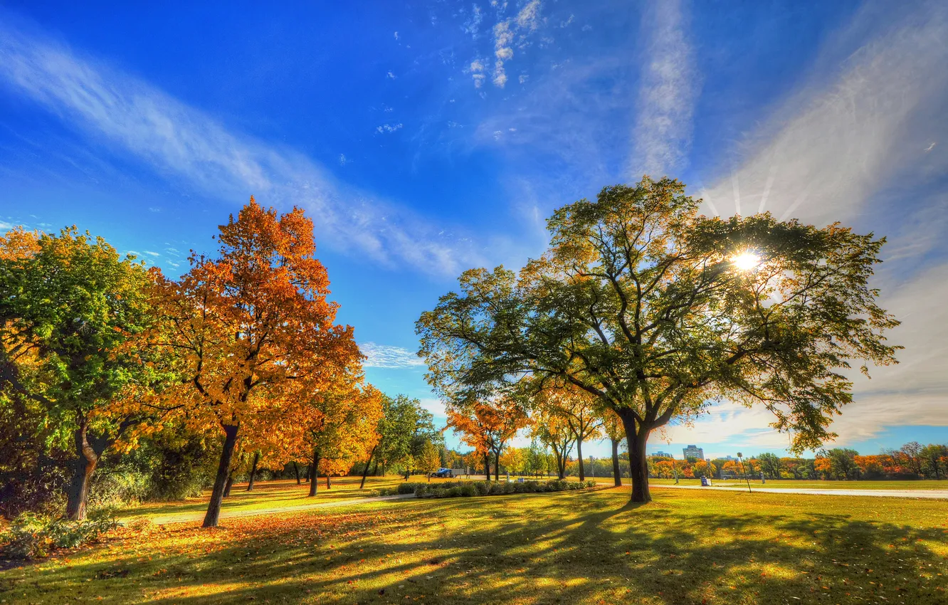 Фото обои осень, небо, трава, листья, облака, деревья, парк