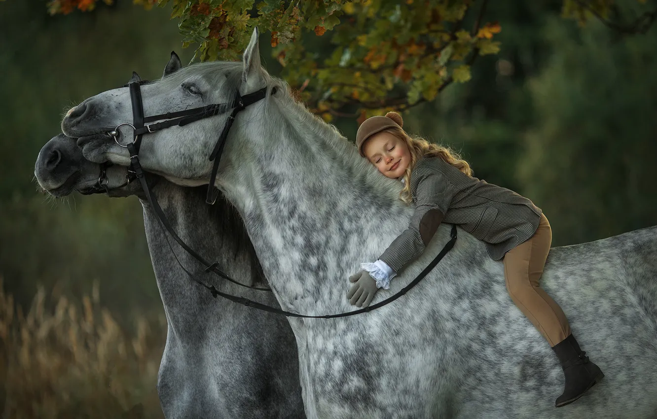 Фото обои осень, настроение, кони, всадница, лошади, девочка, наездница