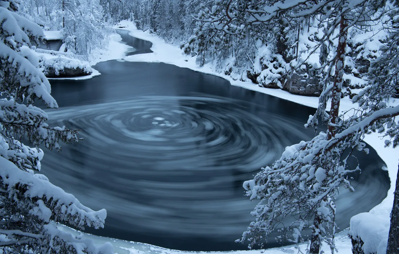Фото обои зима, лес, озеро