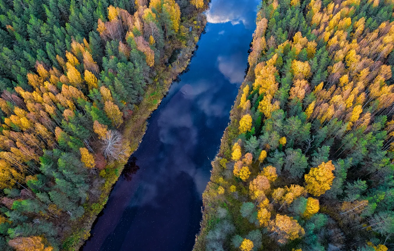 Фото обои осень, лес, облака, деревья, отражение, река, синева, берег