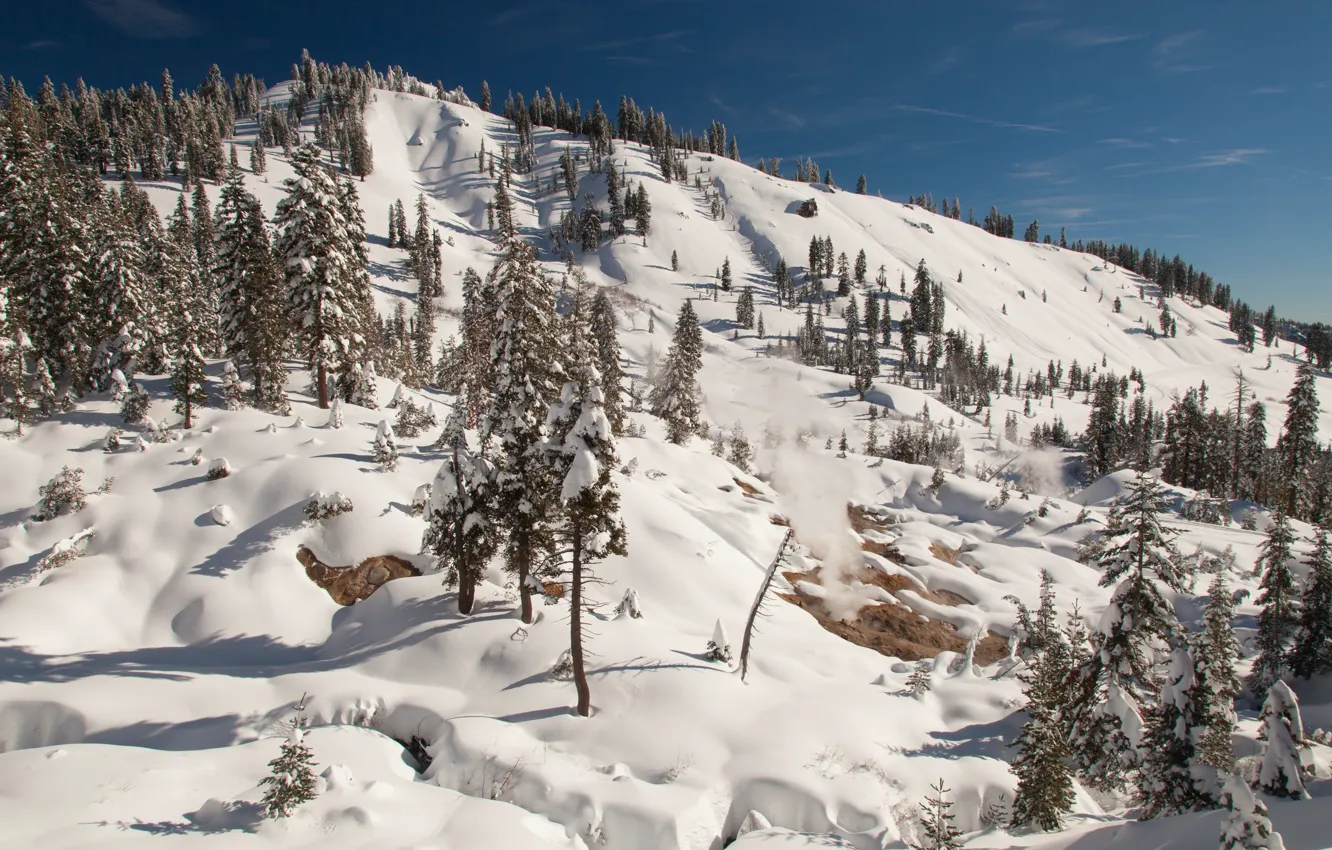 Фото обои зима, небо, солнце, снег, деревья, гора, склон, Калифорния