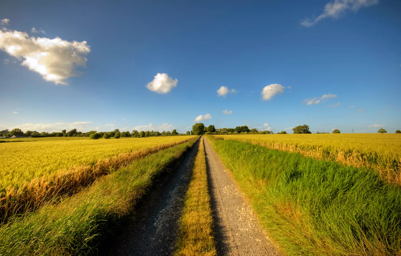 Фото обои дорога, лето, небо, облака, путь, даль, травы, road