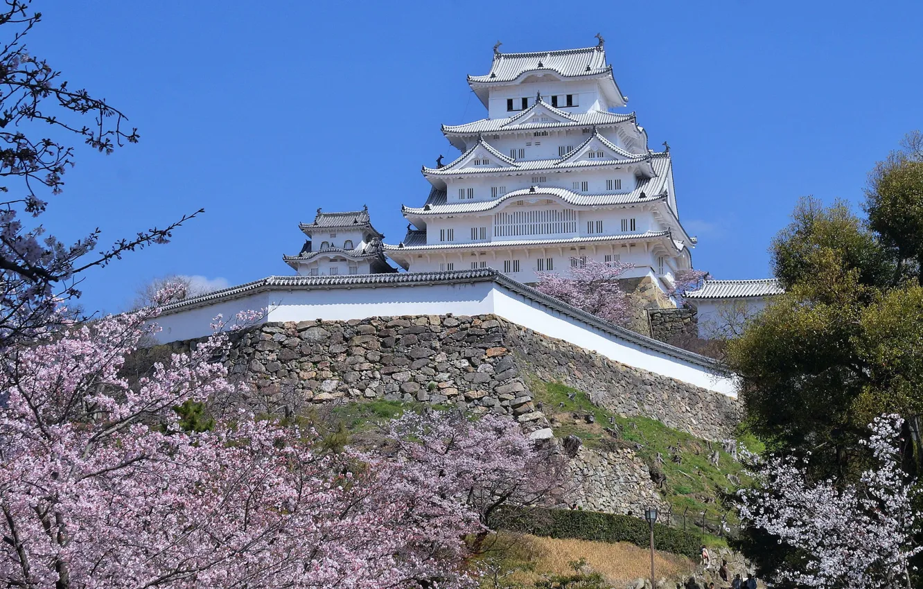 Фото обои замок, весна, Япония, сакура, Химедзи