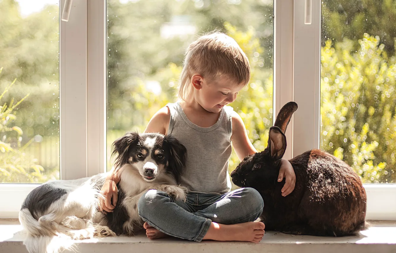 Фото обои настроение, собака, мальчик, кролик, окно, дружба, друзья, на подоконнике