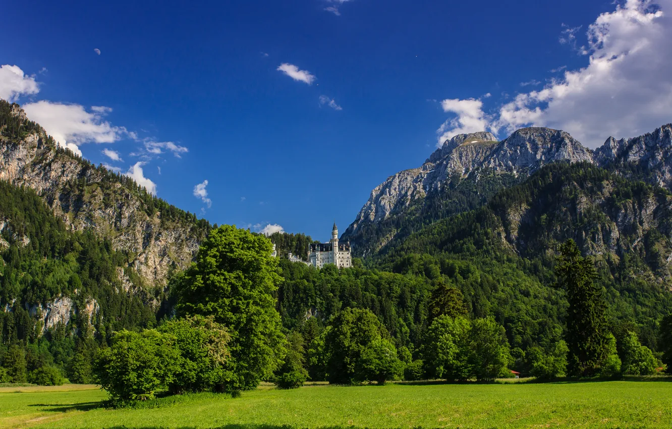 Фото обои деревья, горы, Германия, Бавария, луг, Germany, Bavaria, Neuschwanstein Castle