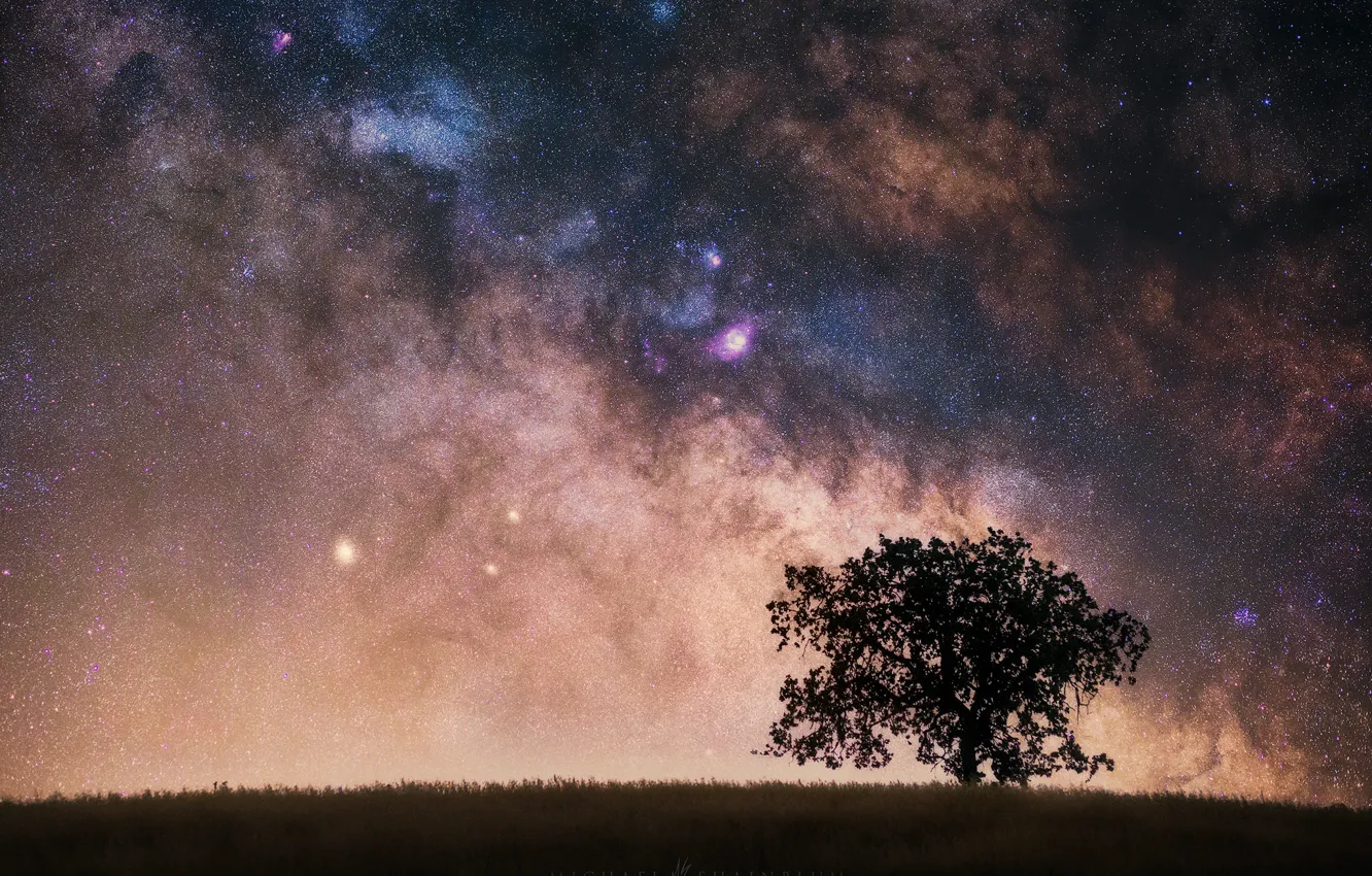 Фото обои небо, трава, звезды, ночь, дерево, млечный путь