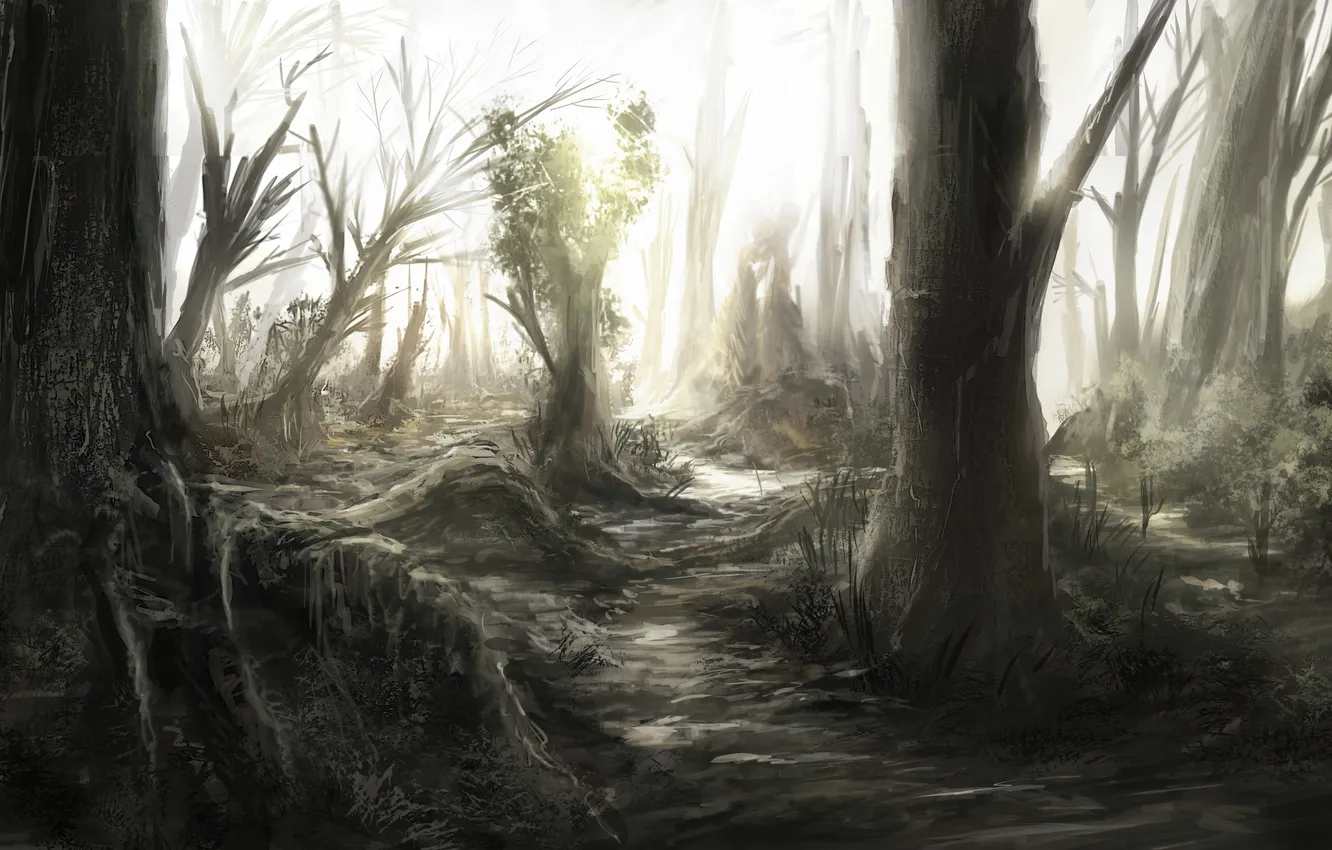 Фото обои лес, деревья, природа, чаща, арт, ствол