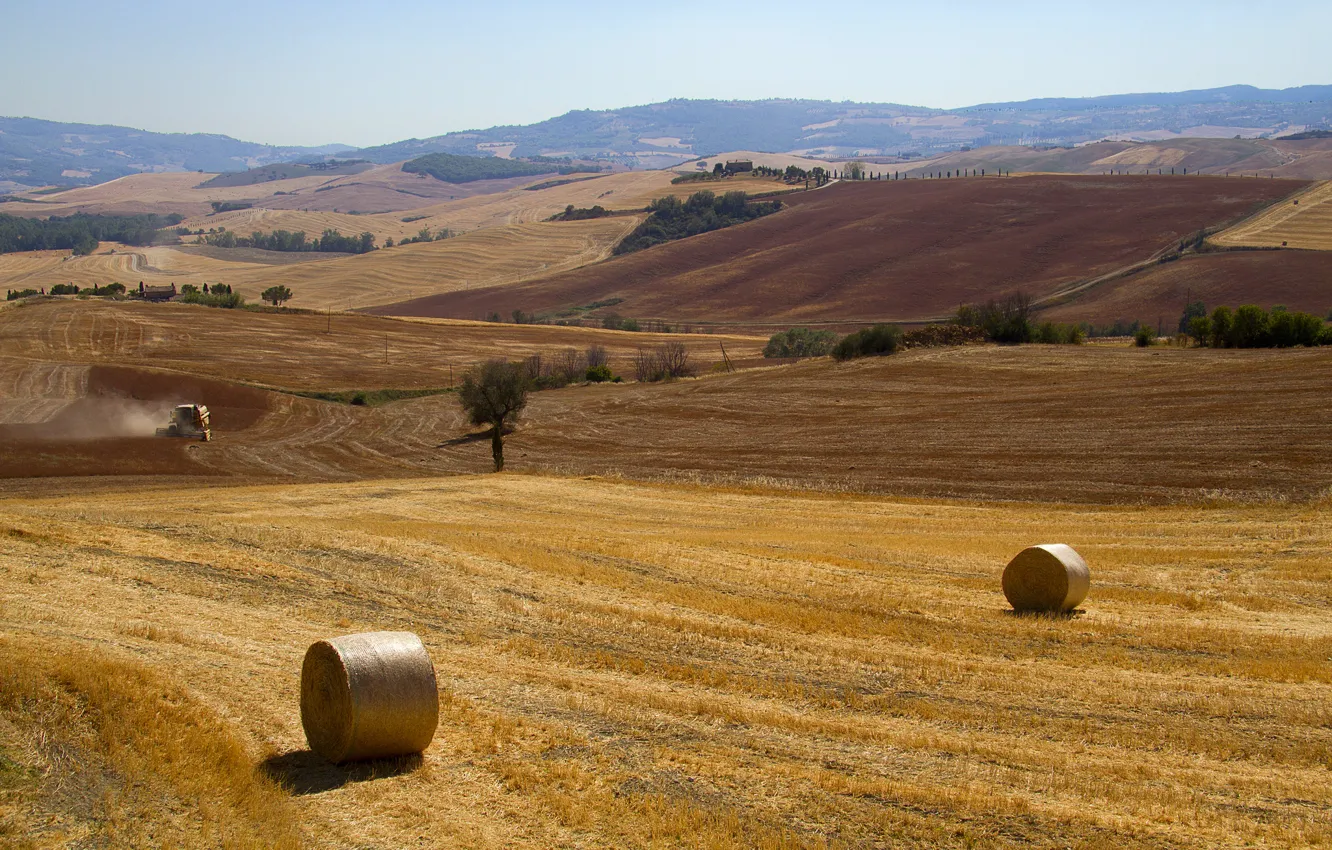 Фото обои осень, поля, уборка, Италия, Тоскана, рулоны