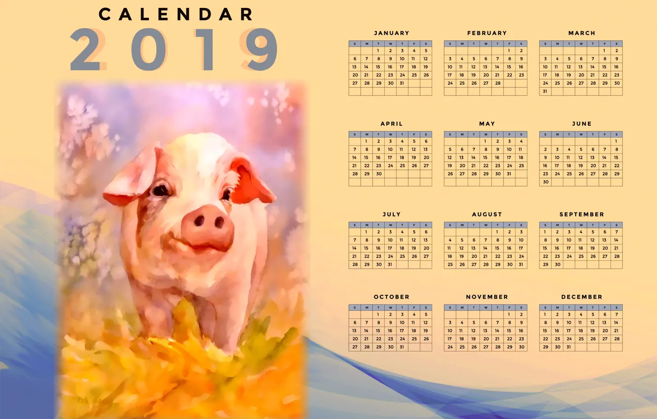 Фото обои свинья, поросенок, календарь на 2019 год
