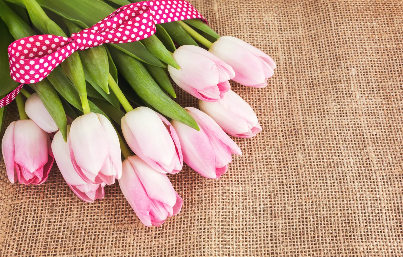 Фото обои букет, лента, тюльпаны, розовые, мешковина, LAIMDOTA GRIVANE