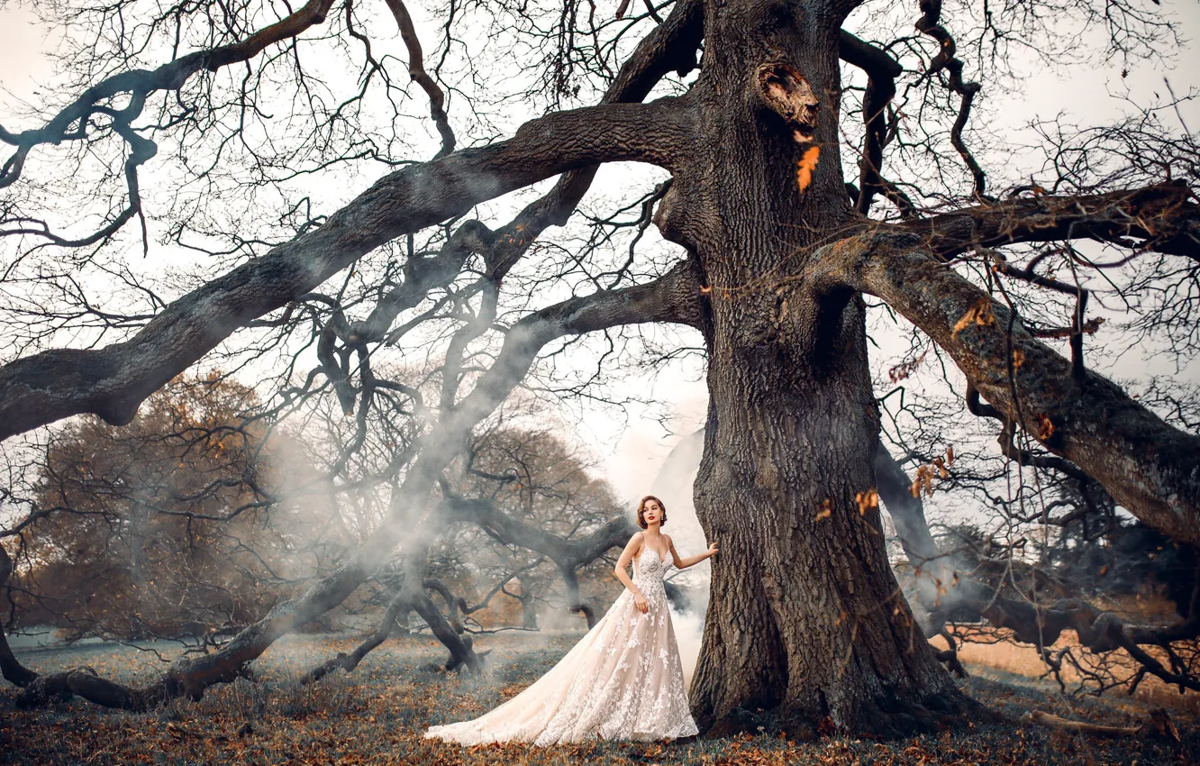Фото обои девушка, природа, дерево