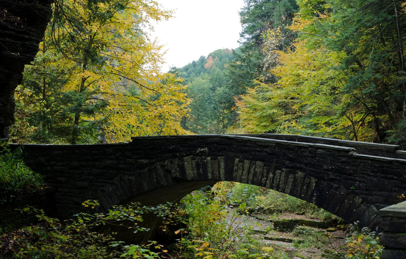 Фото обои Мост, Осень, USA, США, Fall, Bridge, Autumn, Colors