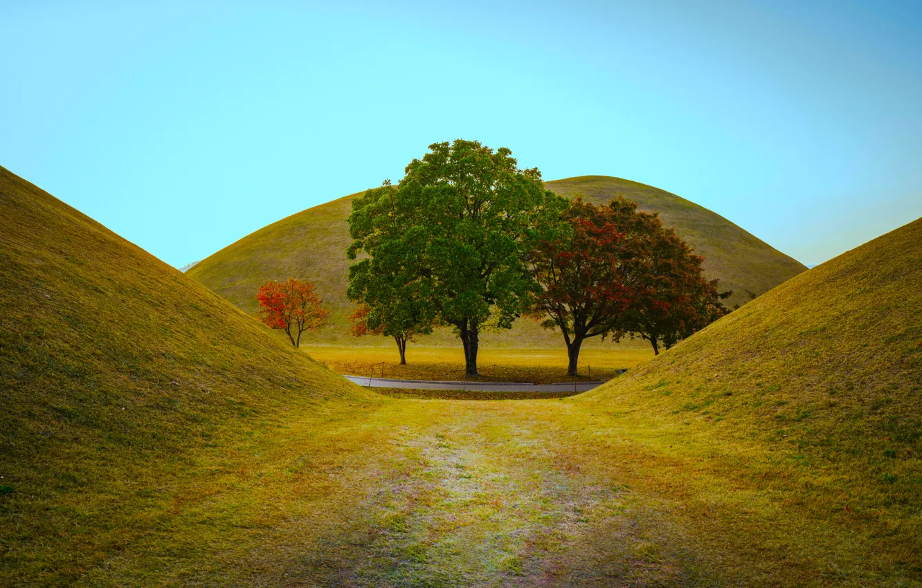 Фото обои grass, road, sky, trees, landscape, nature, South Korea, hills