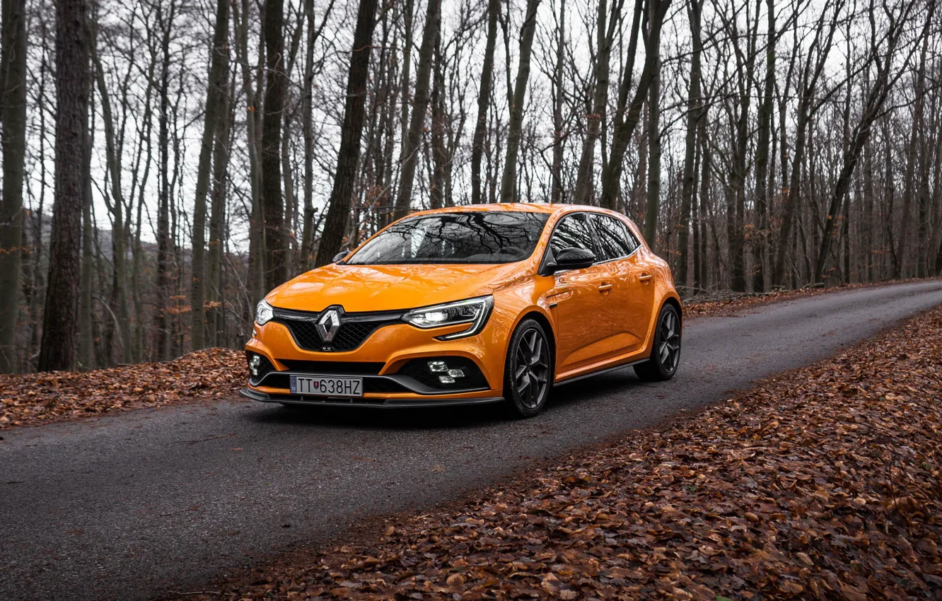 Фото обои Renault, Front, Autumn, Yellow, Road, Megane, Forest, Megane RS