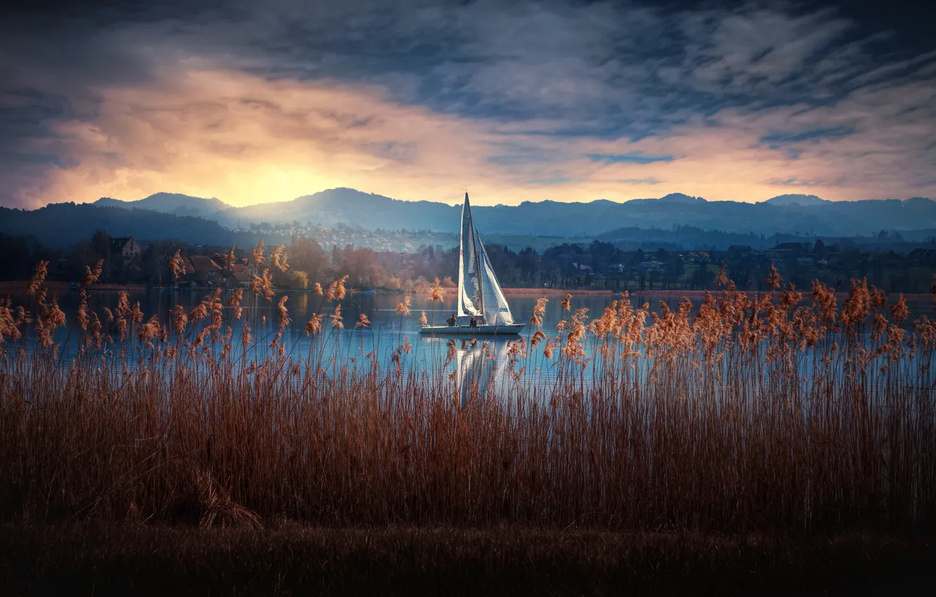 Фото обои озеро, яхта, Швейцария, камыш, Switzerland, Greifensee Lake, Озеро Грайфен, Грайфензее