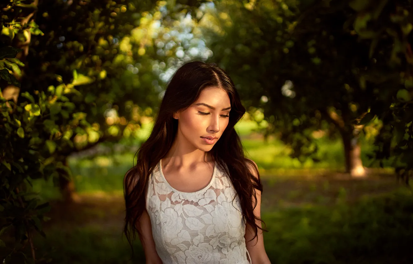 Фото обои лицо, фон, модель, волосы, melissa