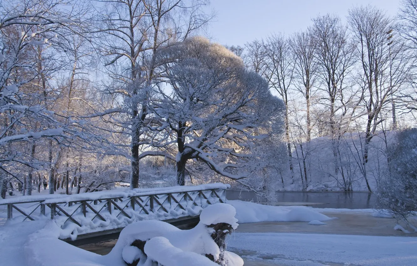Фото обои зима, снег, природа, парк, мороз, мостик