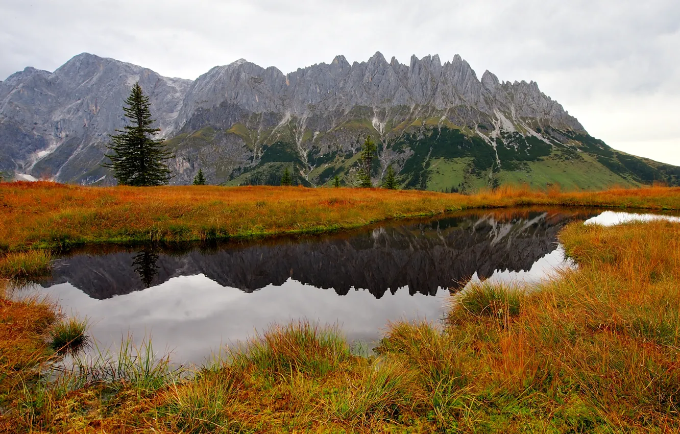 Фото обои осень, трава, вода, деревья, горы, природа, озеро, ель