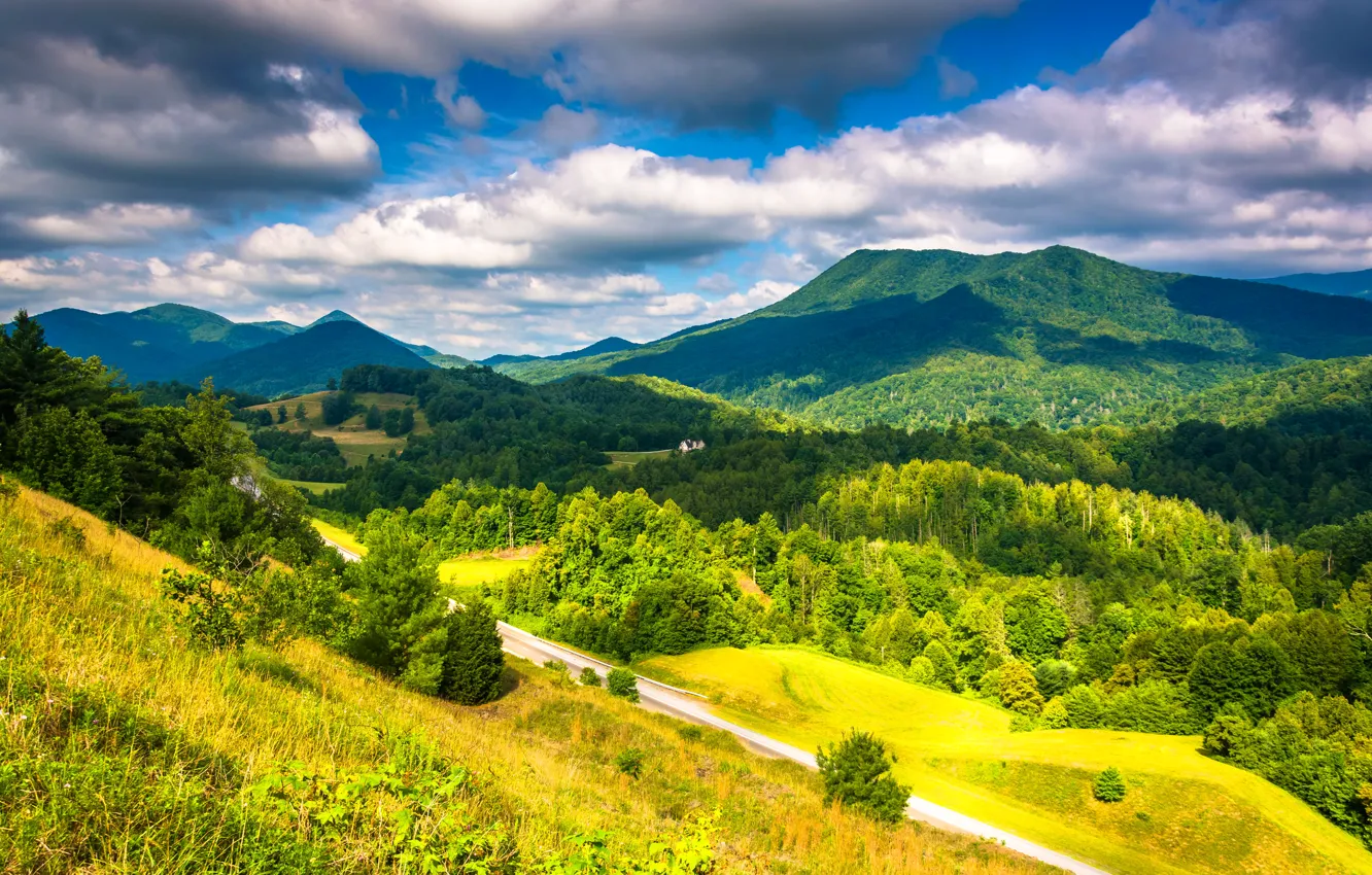 Фото обои лес, облака, пейзаж, горы, природа, фото, США, Appalachian
