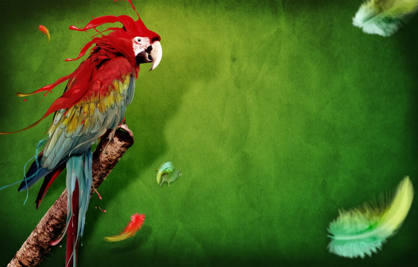 Фото обои фон, краски, перья, Попугай