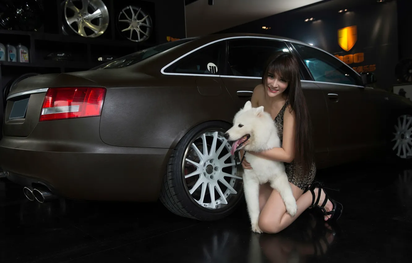 Фото обои авто, взгляд, улыбка, Audi, собака, Девушки, азиатка, красивая девушка
