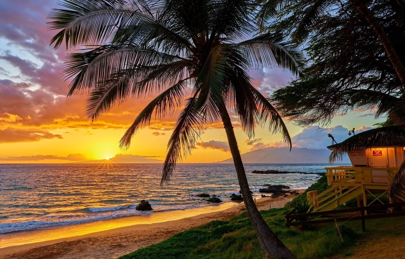 Фото обои summer, sunset, holiday, hawaii, palm tree