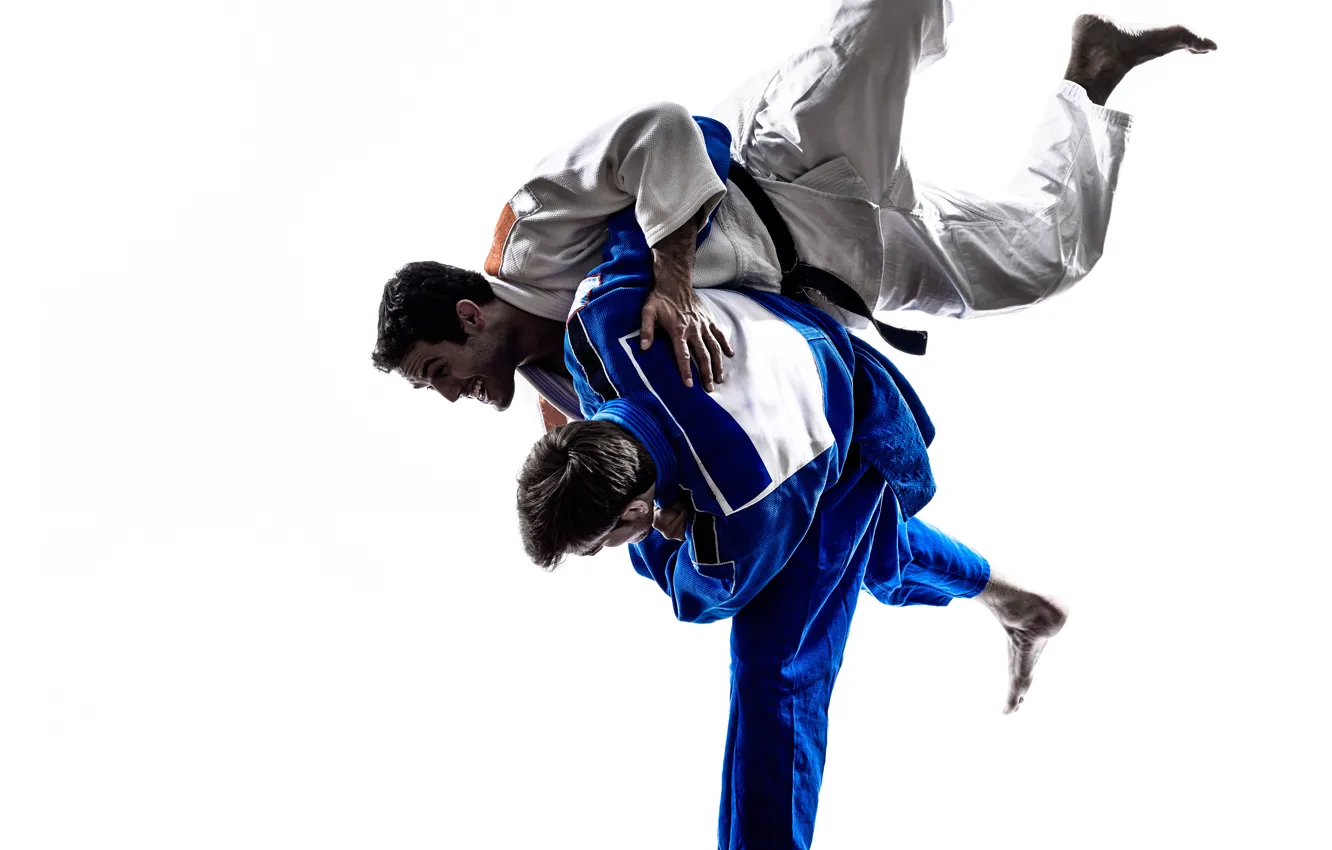 Фото обои fight, skill, training, technique, judo