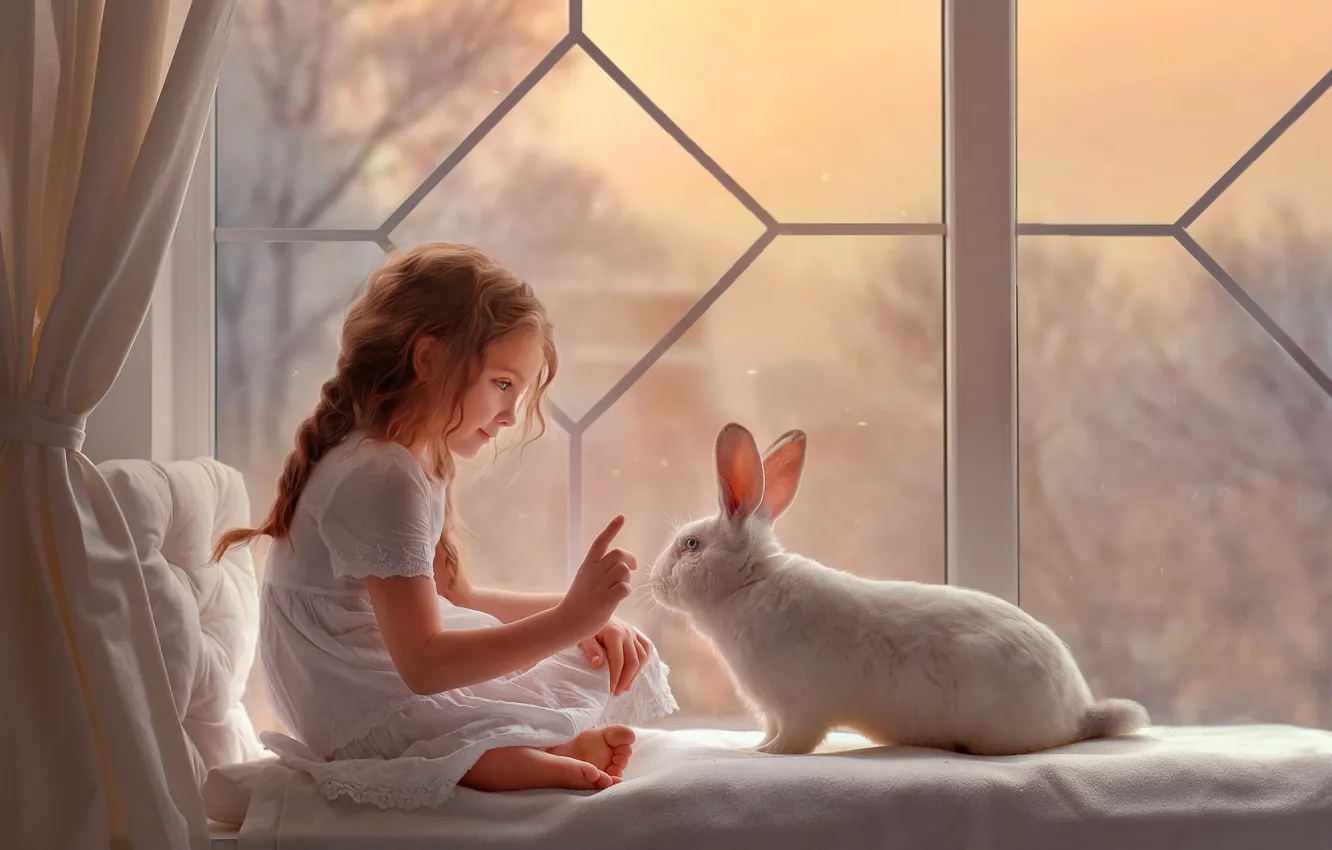 Фото обои настроение, кролик, окно, девочка, белый кролик