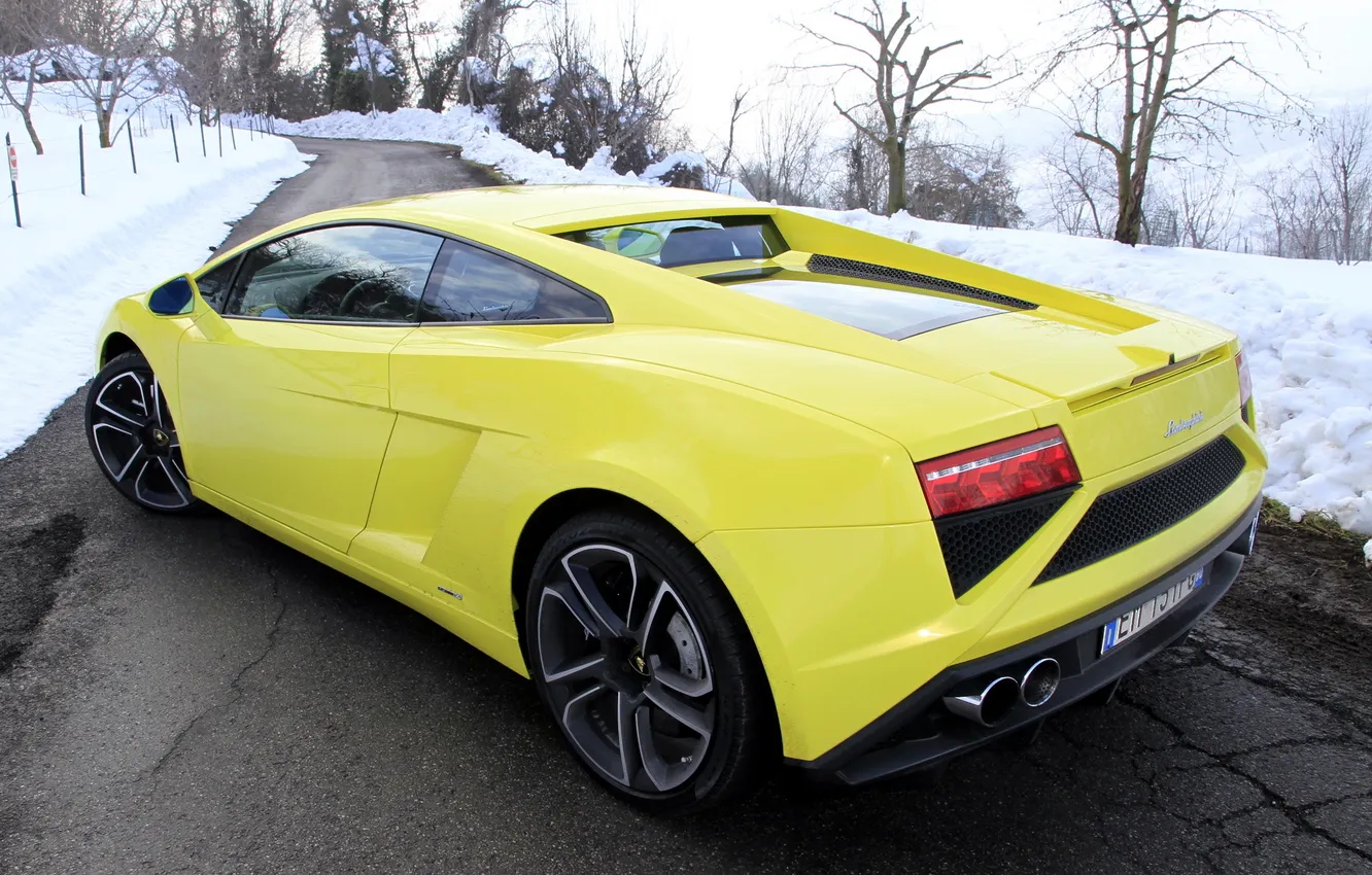 Фото обои Lamborghini, Gallardo, ракурс, задок, LP560-4