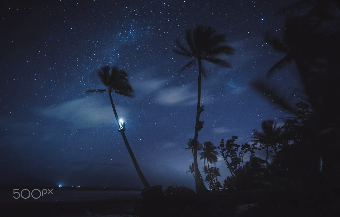 Фото обои небо, звезды, свет, ночь, пальмы, океан, человек