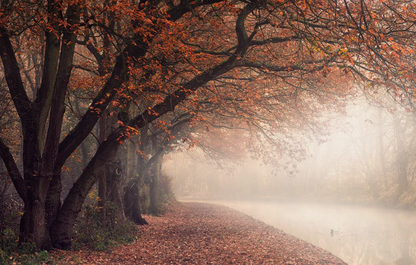 Фото обои England, North Warwickshire District, autumn colours, Polesworth, canal path